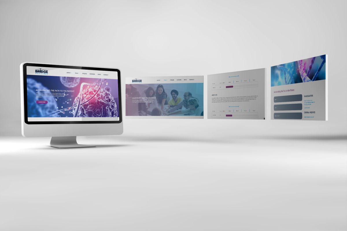 Bridge Medicines site Design Wild Blackberry Studio