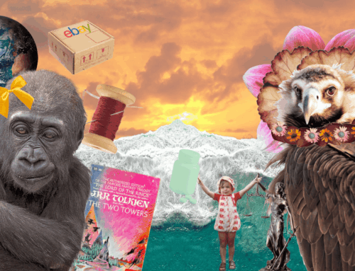 The Vulture Chronicles: Goranchas Comes Home