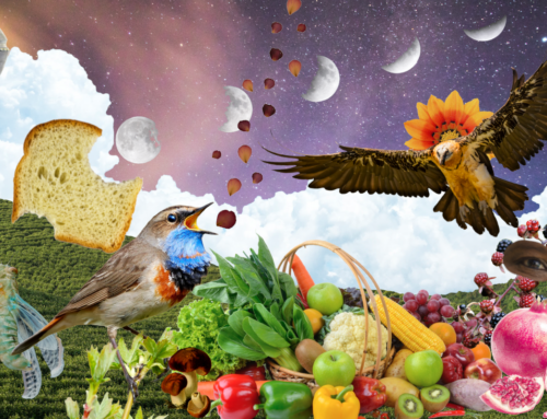 The Vulture Chronicles: Brooke Hofsess