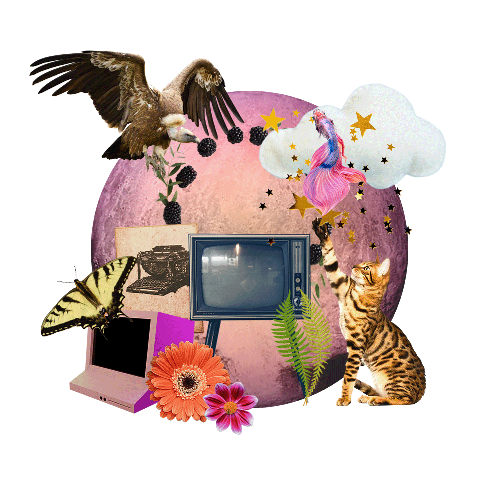 Web Magic Collage